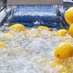 csm_KRONEN-deconwa-prep-washing-decontaminating-whole-products-melons_d168e40520-300x178